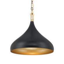 Minka-Lavery 3931-876 - 1 LIGHT PENDANT