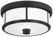 Minka-Lavery 4365-66A - HARBOUR POINT - 2 LIGHT CEILING LIGHT