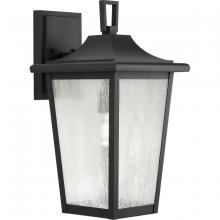 Progress P560309-031 - Padgett Collection One-Light Transitional Textured Black Clear Seeded Glass Outdoor Wall Lantern