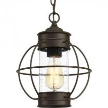 Progress P550015-020 - Haddon Collection One-light hanging lantern