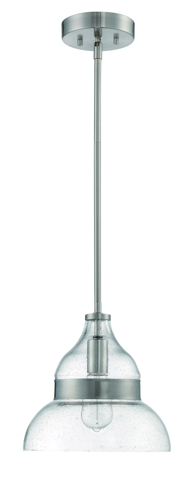 1 Light Pendant