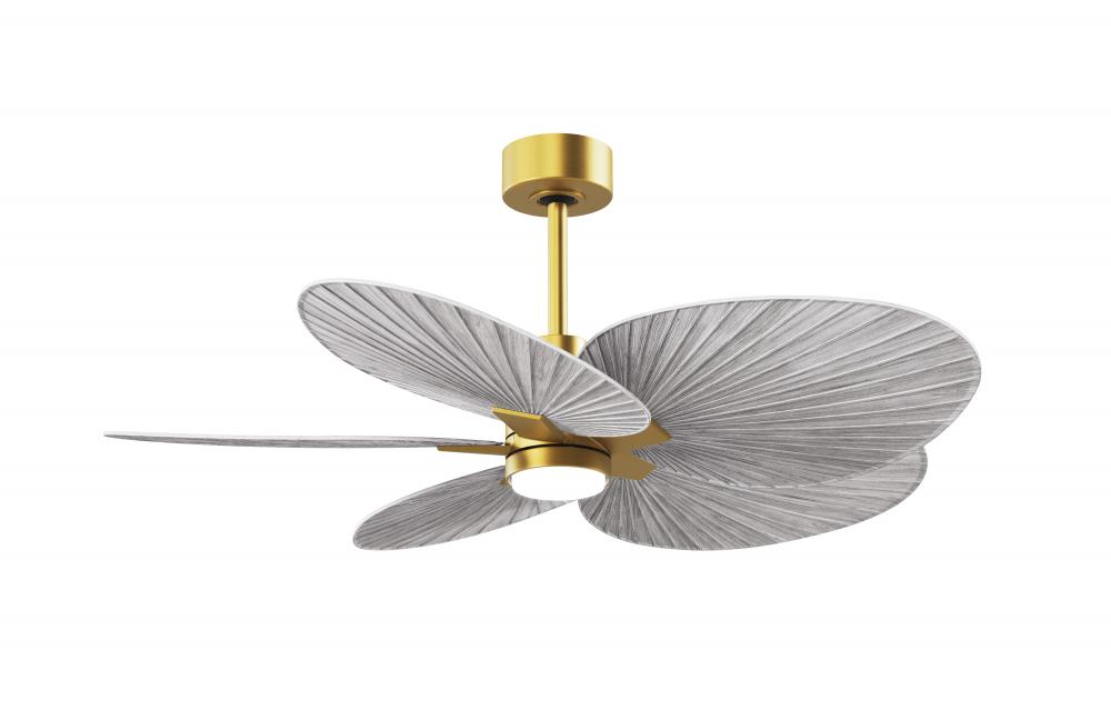 Alessandra Tropical 5-blade ceiling fan in Brushed Brass and Barn Wood Tone blades.