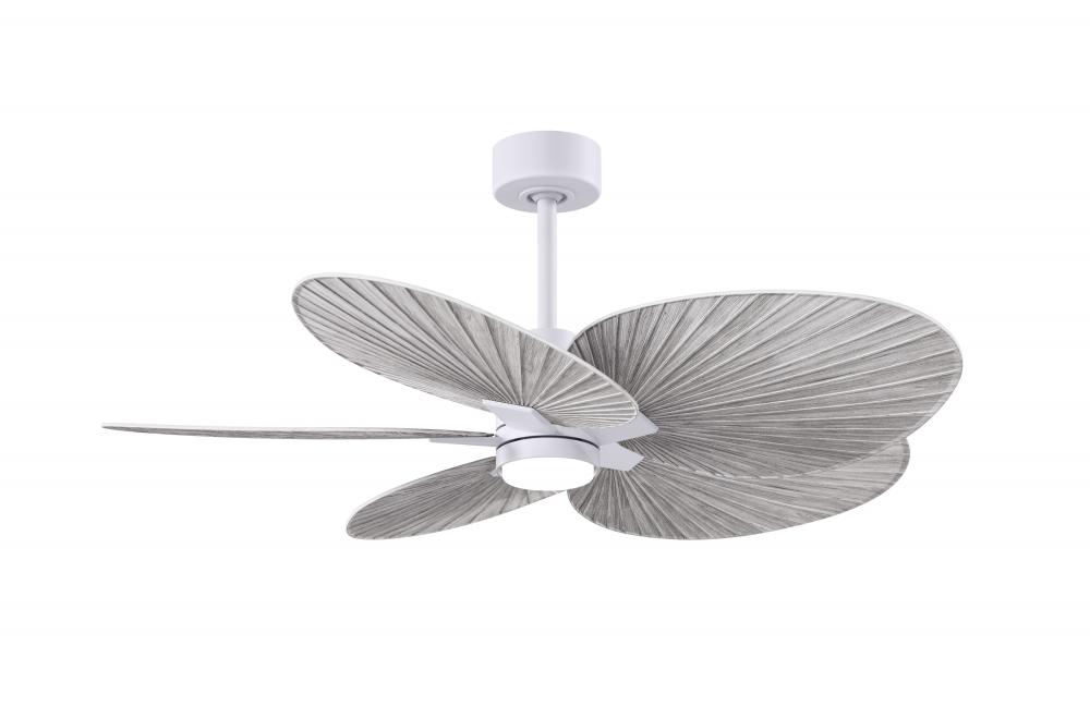 Alessandra Tropical 5-blade ceiling fan in Matte White and Barn Wood Tone blades.