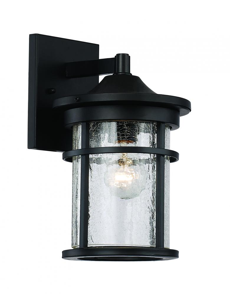 1LT WALL LANTERN-SML-SEEDED GL