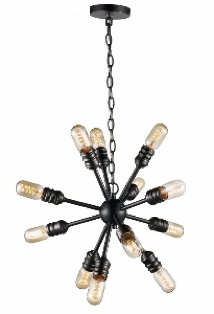 12LT-STARBURST PENDANT-WB