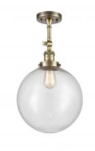 Innovations Lighting 201F-AB-G204-12 - Beacon - 1 Light - 12 inch - Antique Brass - Adjustable Semi-Flush Mount