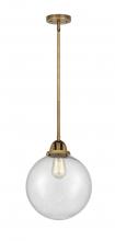 Innovations Lighting 288-1S-BB-G204-10 - Beacon - 1 Light - 10 inch - Brushed Brass - Cord hung - Mini Pendant