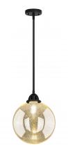 Innovations Lighting 288-1S-BK-G208-10 - Beacon - 1 Light - 10 inch - Matte Black - Cord hung - Mini Pendant