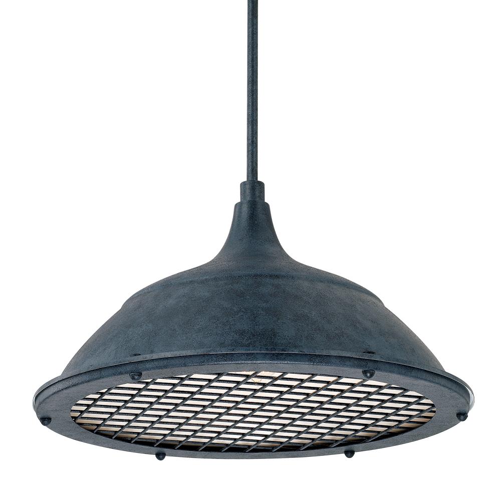 1 Light Pendant