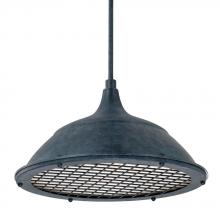 Capital 312811WZ - 1 Light Pendant