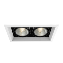 Eurofase USA Inc. TE132-02 - MULT,PAR30,TRM,2LT,75W,WH/BLK