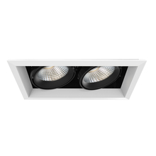 Eurofase USA Inc. TE132LED-40-2-02 - MULT,26W,TRM,2LT,40K,WHT/BLK