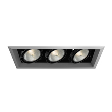 Eurofase USA Inc. TE133-0N - MULT,PAR30,TRM,3LT,75W,PT/BLK