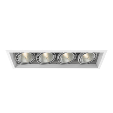 Eurofase USA Inc. TE134A-22 - MuLT, Par30, Trm, 4LT , 75w, Wt/wtt