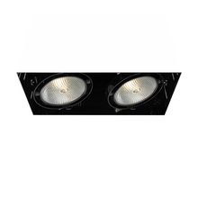 Eurofase USA Inc. TE222-01 - MULT,PAR30,TRIMLSS,2LT,75W,BLK