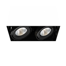 Eurofase USA Inc. TE222LED-40-4-01 - MULT,26W,TRMLS,2LT,40K,BLK