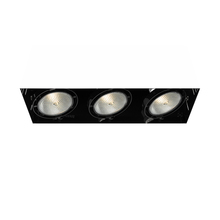 Eurofase USA Inc. TE223-01 - MULT,PAR30,TRIMLSS,3LT,75W,BLK