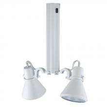 Jesco HMH914P3070-S - Two-Light Metal Halide Track Head