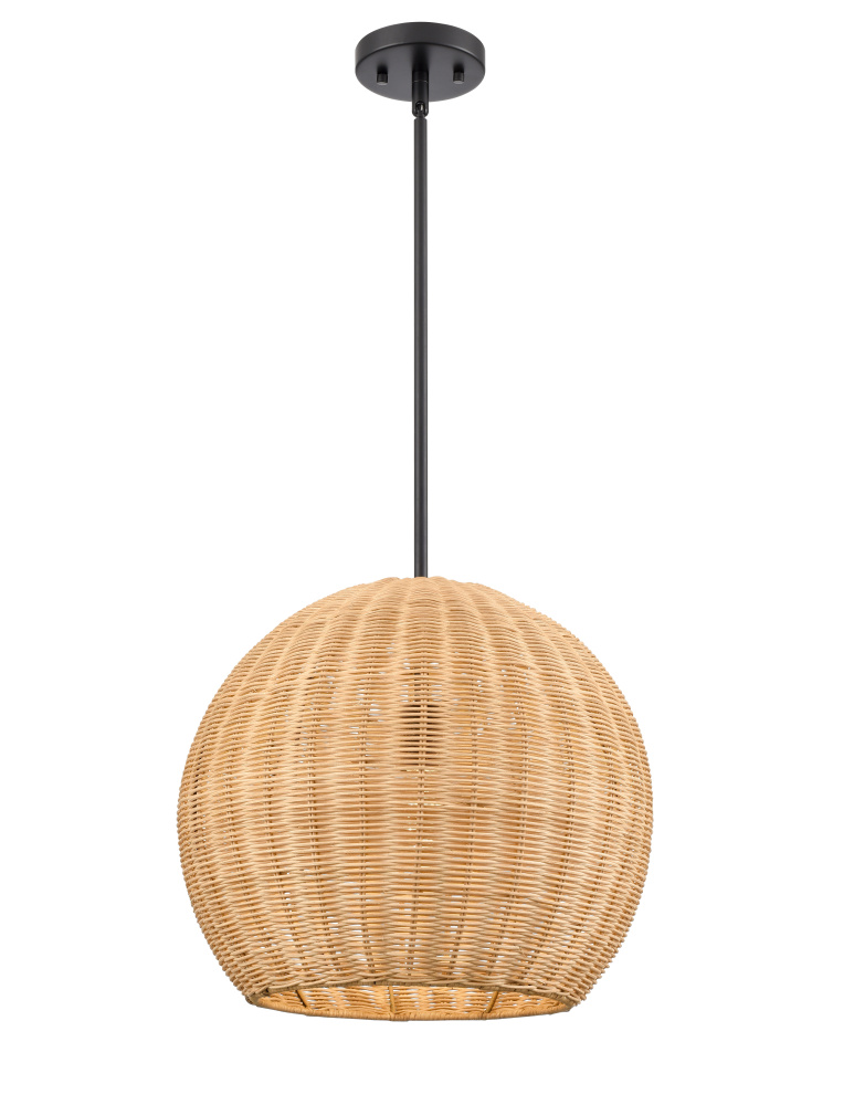 Elise 16&#34; Wide 1-Light Pendant - Matte Black