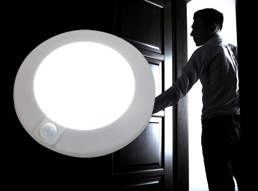 Proxima Surface Mount Downlight