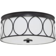 ES Lighting 225131MB-683 - Capital